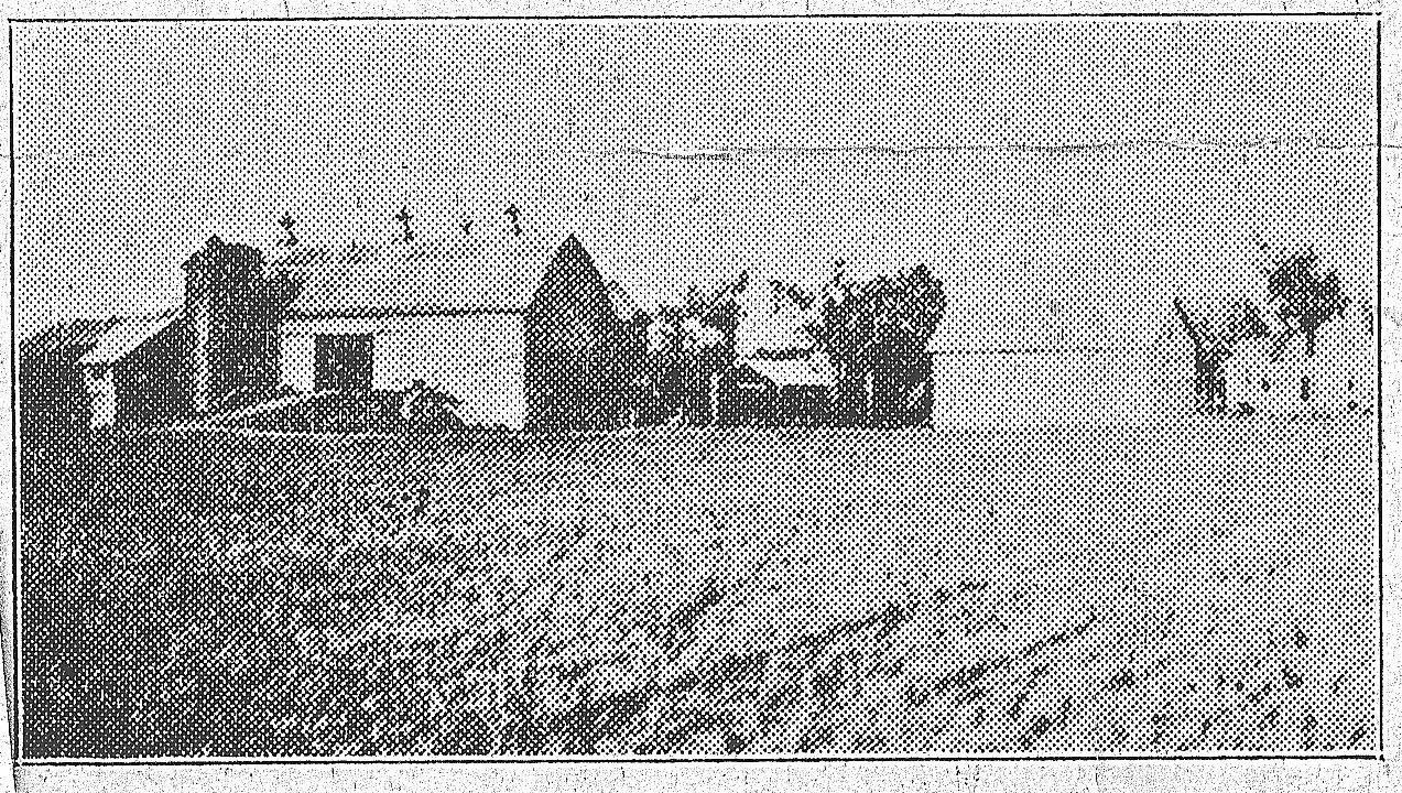 click for larger size