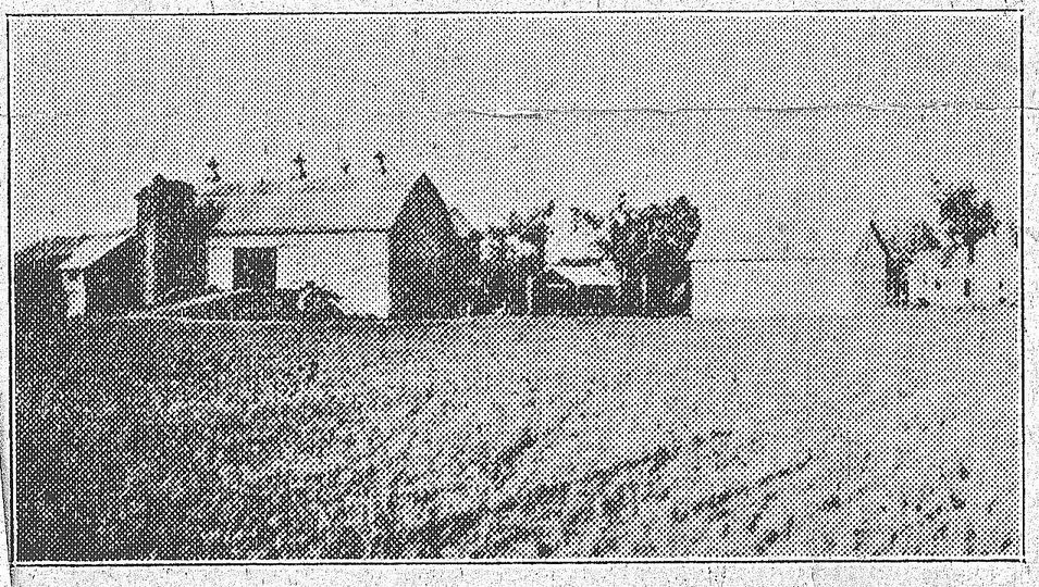 click for larger size