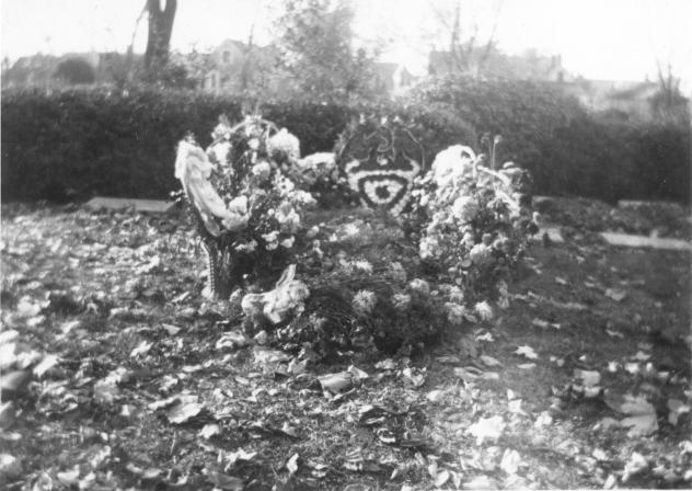 click for larger size