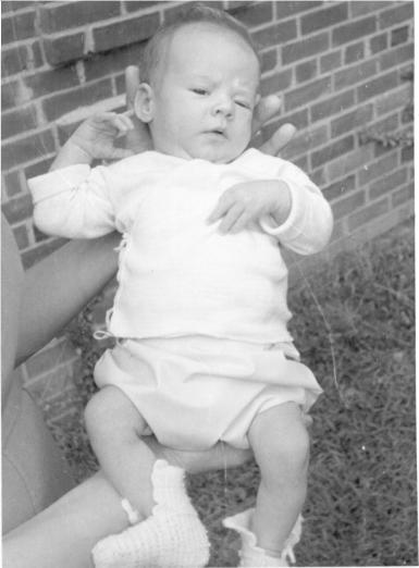 click for larger size