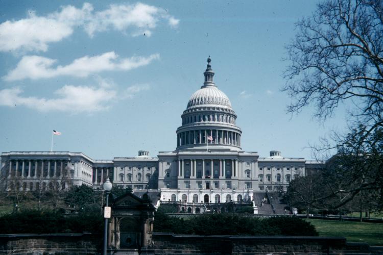 click for larger size