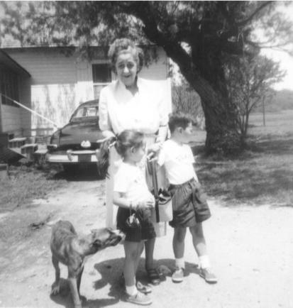 click for larger size