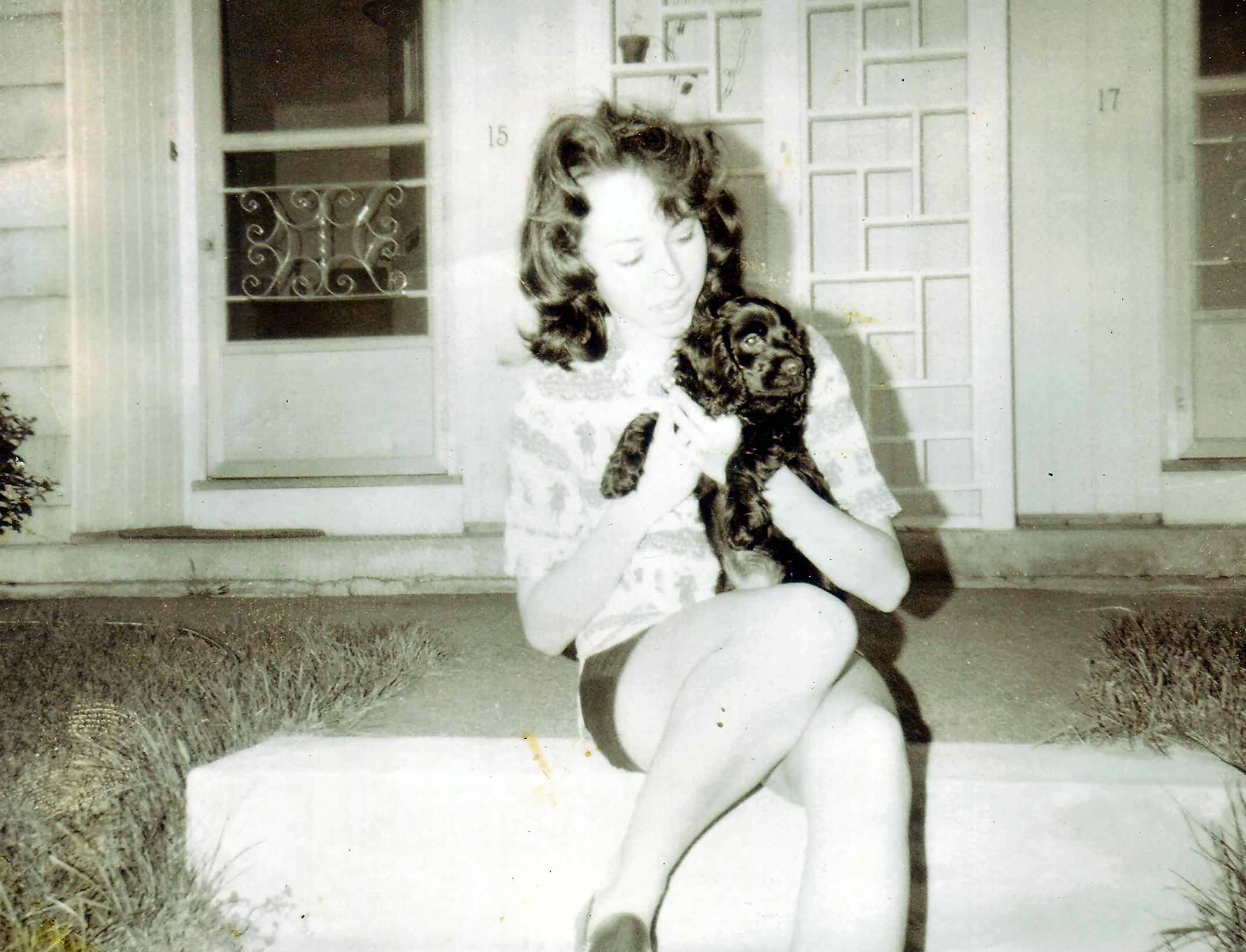 click for larger size