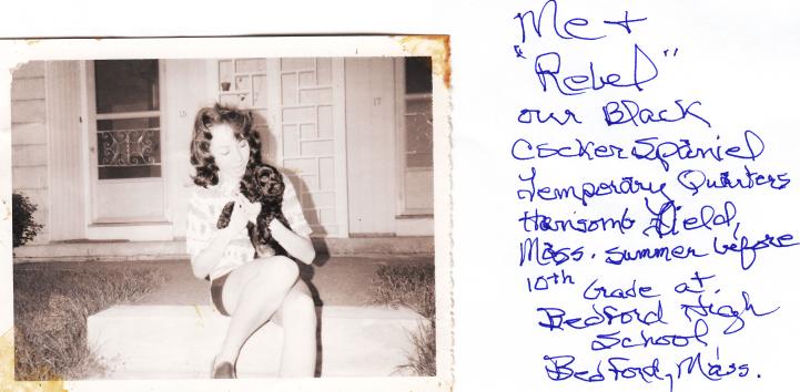 click for larger size