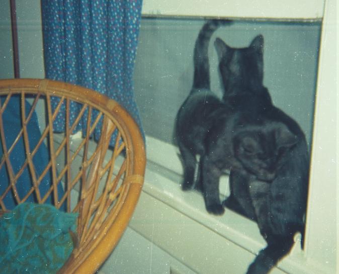 click for larger size