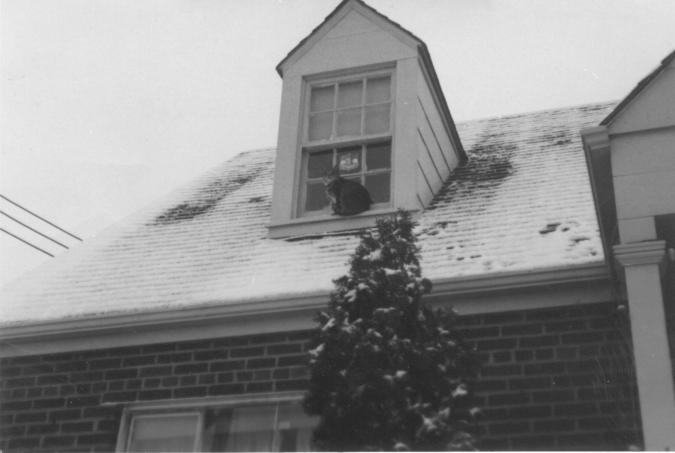 click for larger size