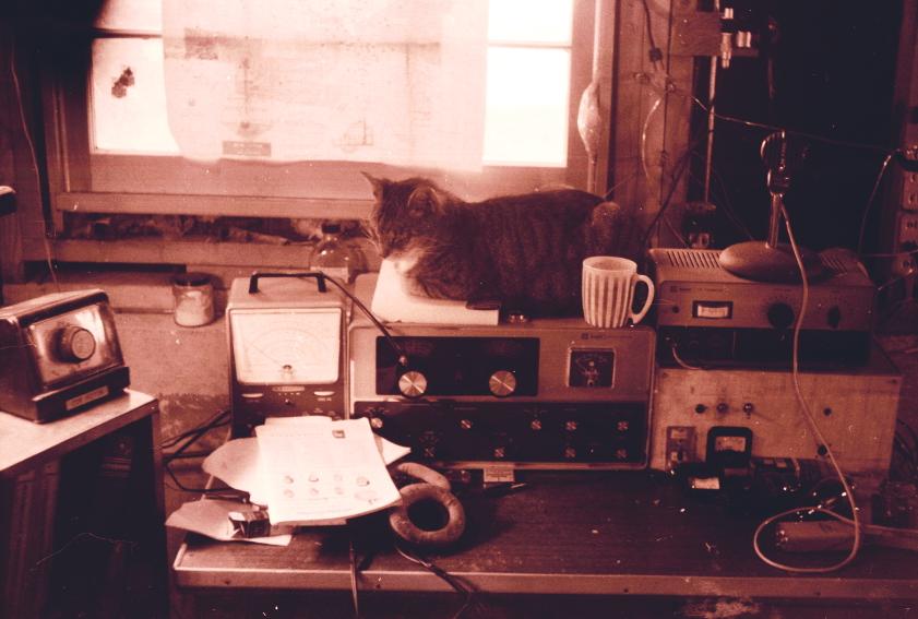 click for larger size