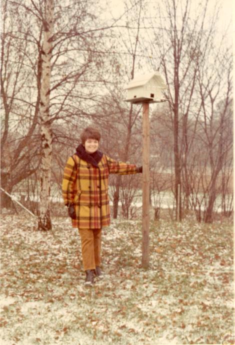 click for larger size