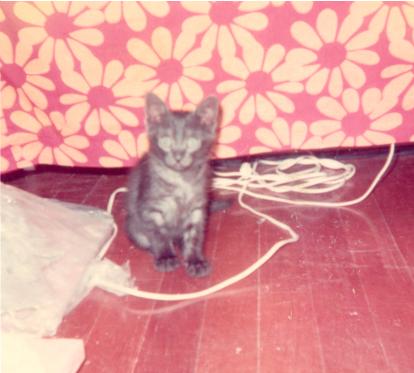 click for larger size