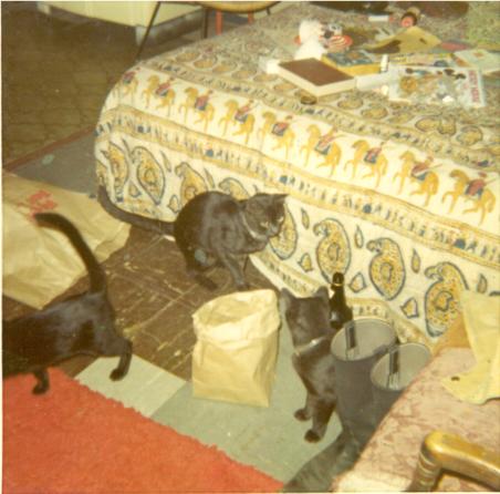 click for larger size