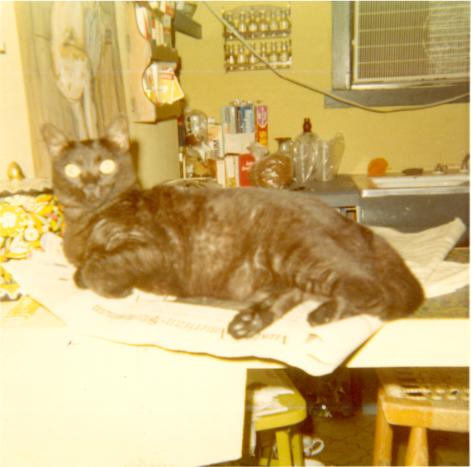 click for larger size