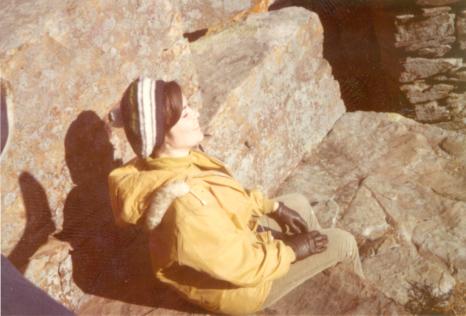 click for larger size