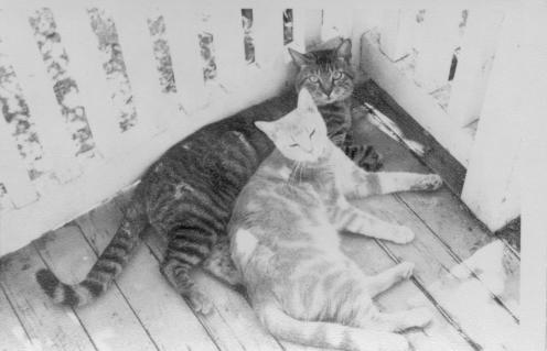 click for larger size