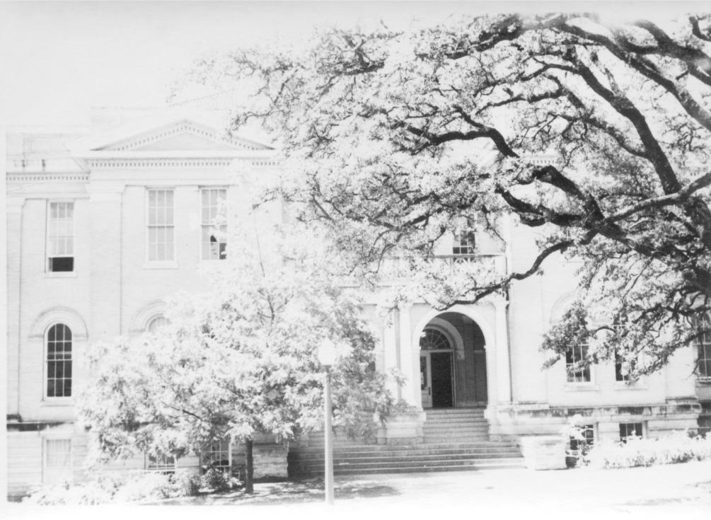 click for larger size