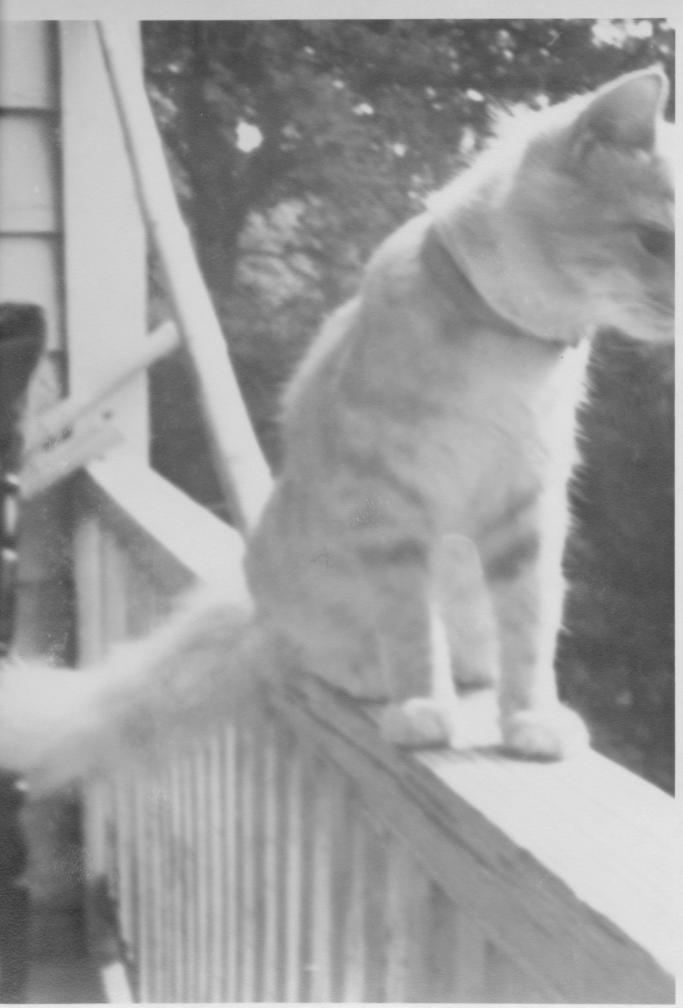 click for larger size