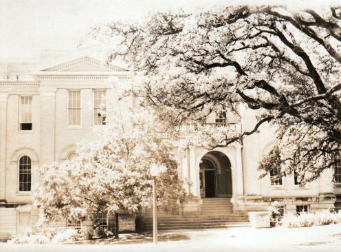 click for larger size