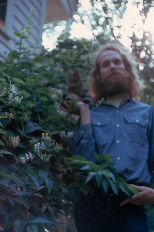 click for larger size