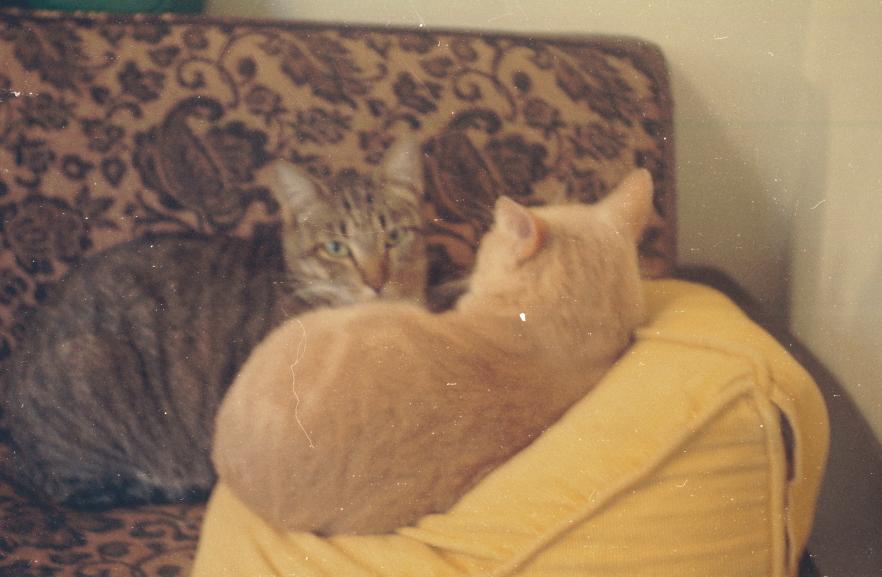 click for larger size