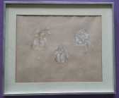 click for larger size