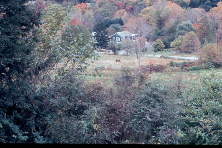 click for larger size