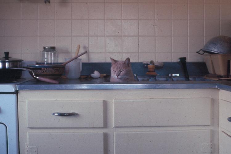 click for larger size