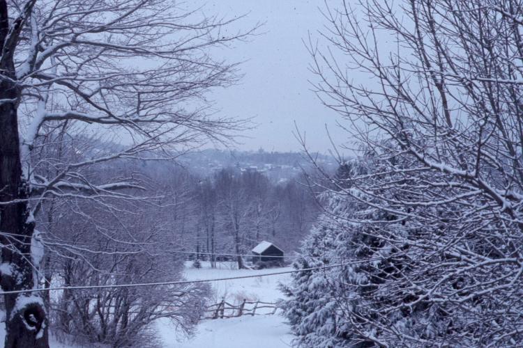 click for larger size