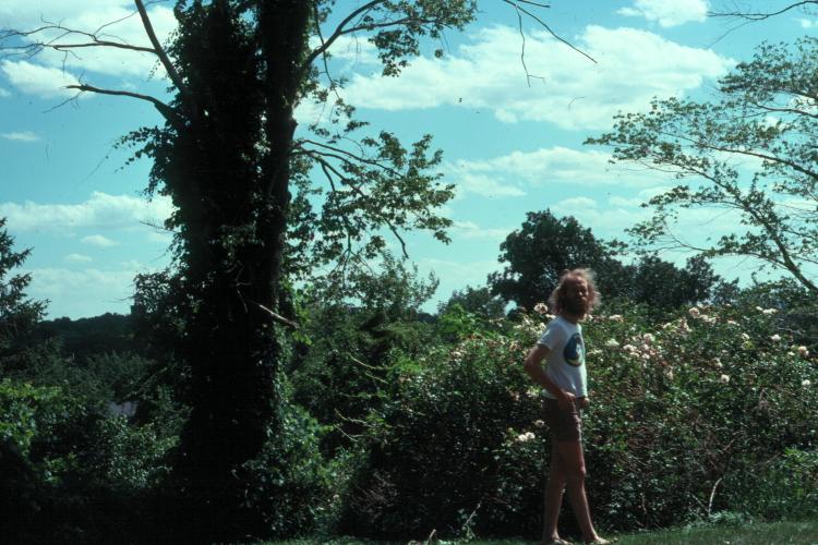 click for larger size