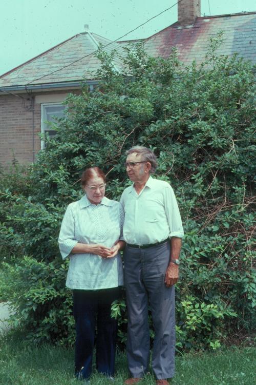 click for larger size