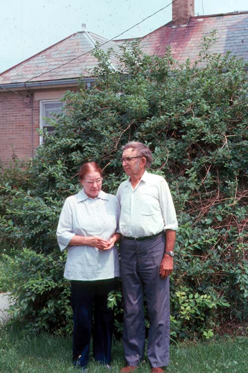 click for larger size