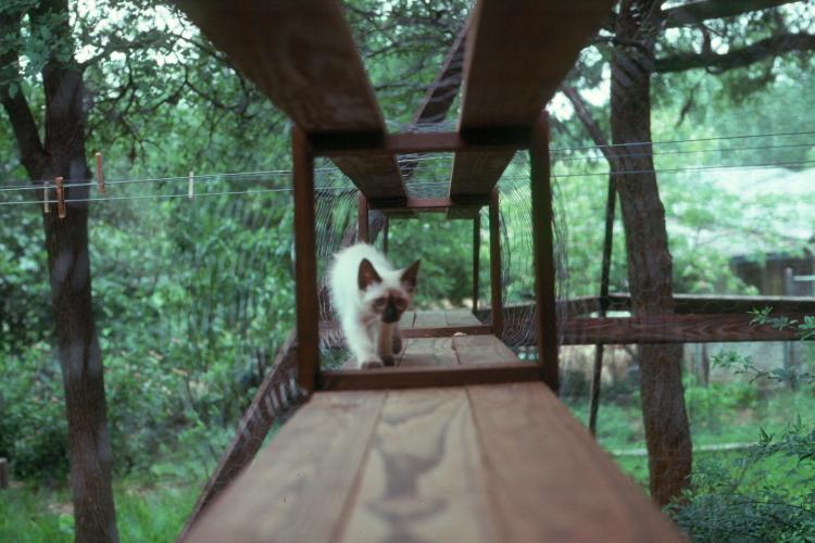 click for larger size