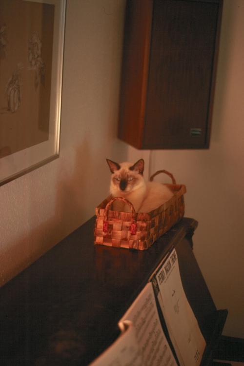 click for larger size