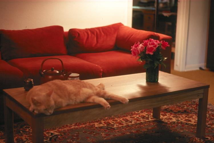 click for larger size