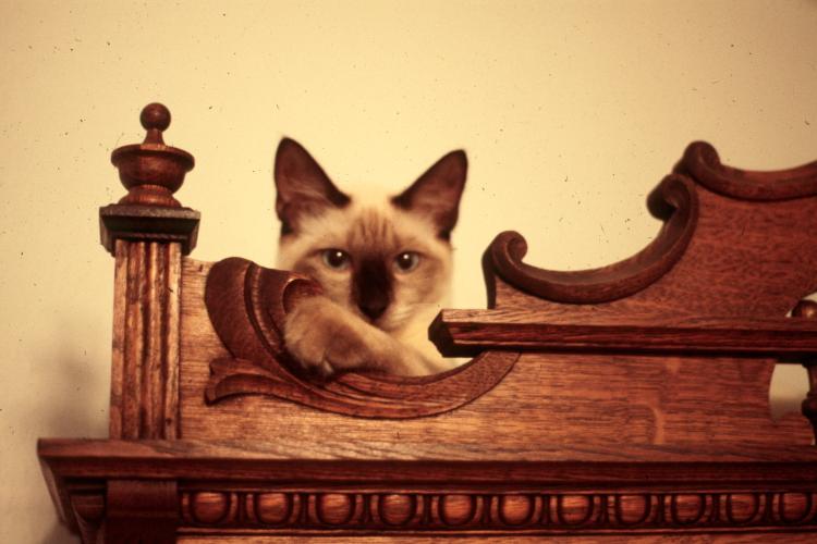 click for larger size