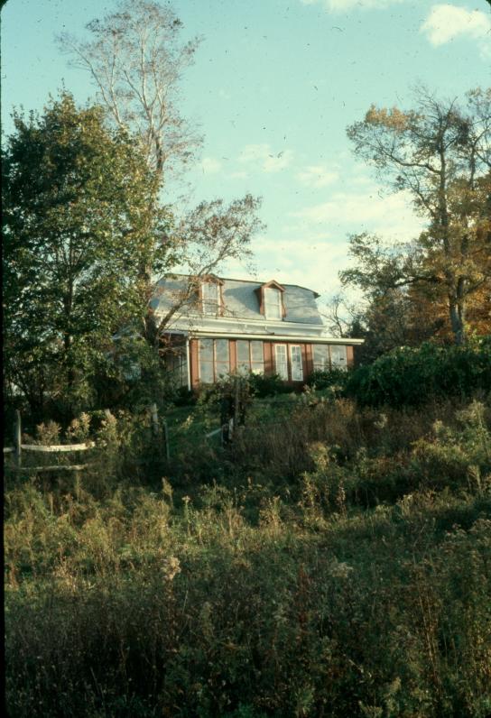 click for larger size