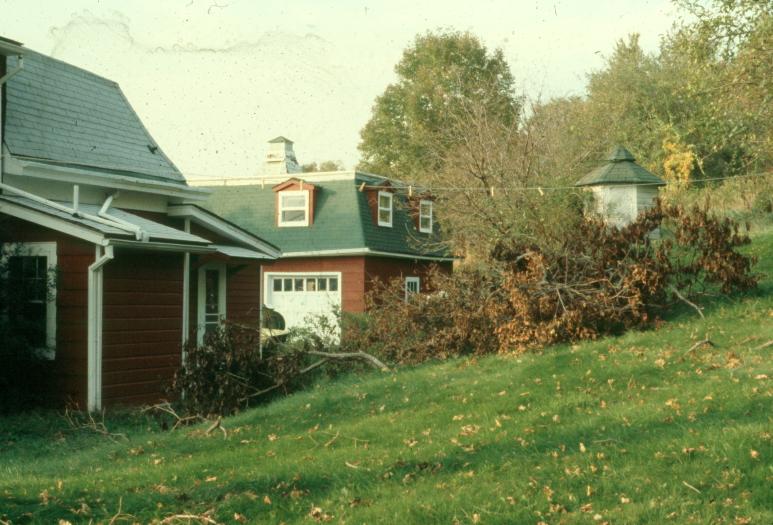 click for larger size