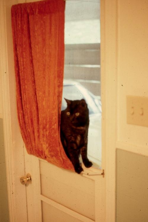 click for larger size