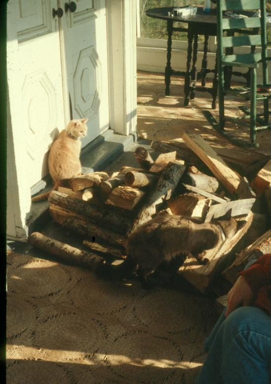 click for larger size