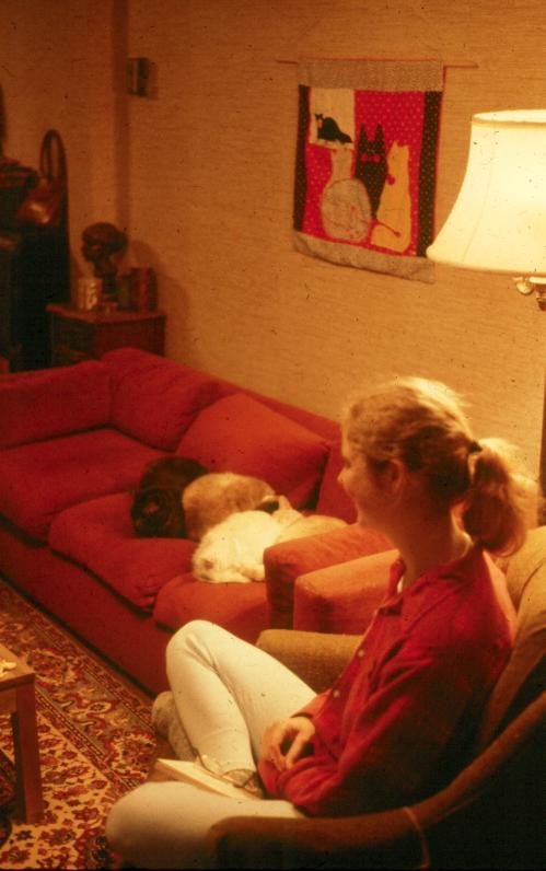 click for larger size