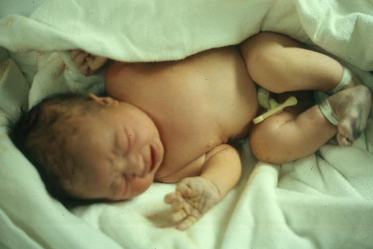 click for larger size