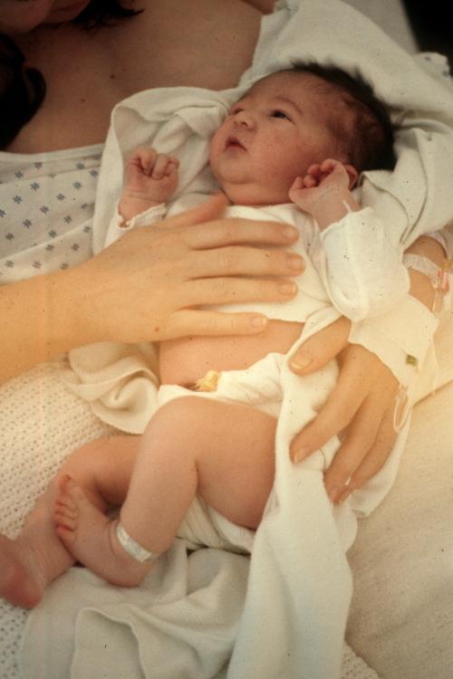 click for larger size