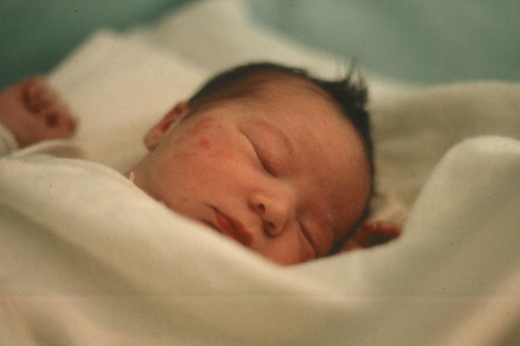 click for larger size