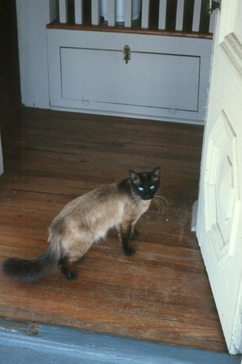 click for larger size