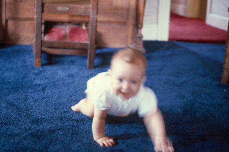 click for larger size