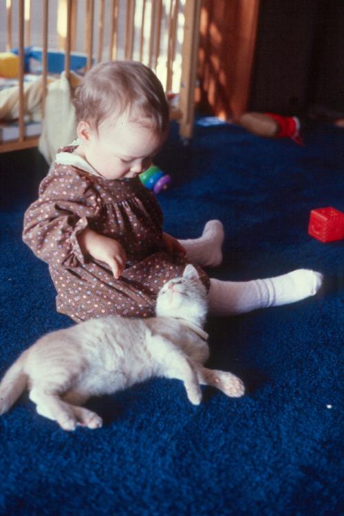 click for larger size