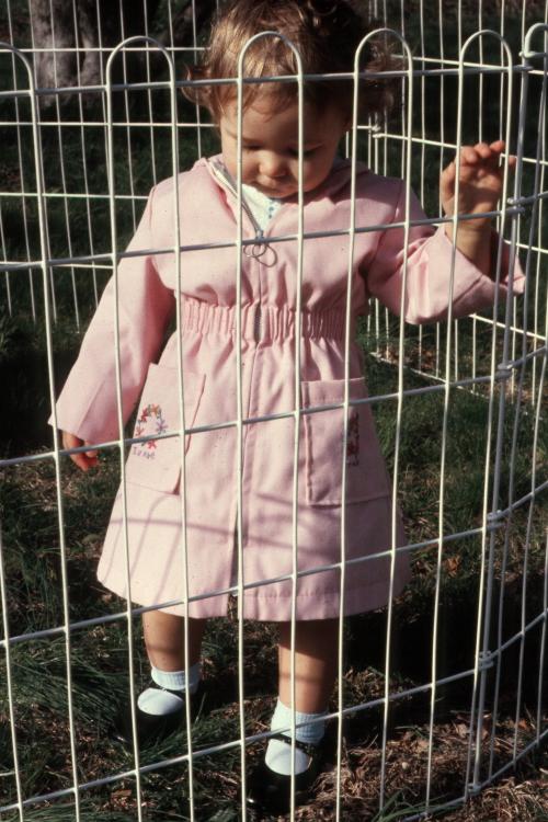 click for larger size