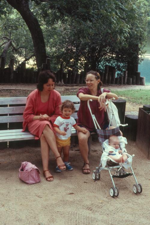 click for larger size