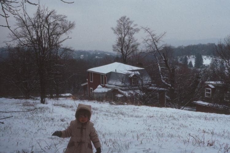 click for larger size