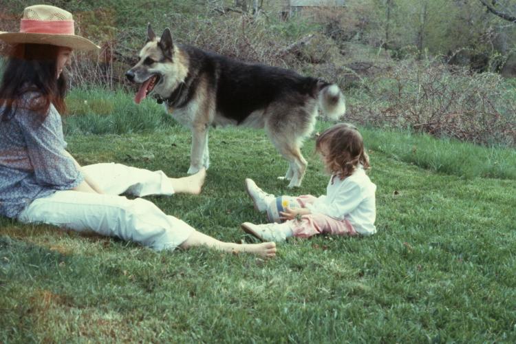 click for larger size