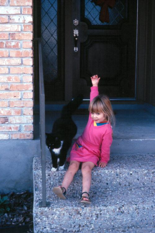 click for larger size