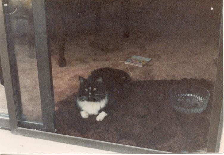 click for larger size